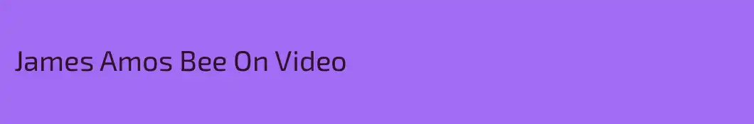 James Amos Bee On Video